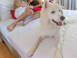 Mercure Jundiai Shopping