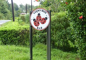 Lucky Bug B & B