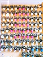 BLUE OCEAN BOUTIQUE HOTEL (Boracay Island, Philippines)