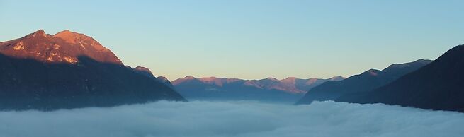 Essentia Guest House