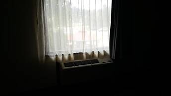 Aartpark Hotel Inn At Lewiston