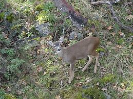 Gibralter Rock Ocean View B&B