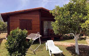 Baris Pension & Bungalows