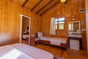 Caretta Caretta Pension