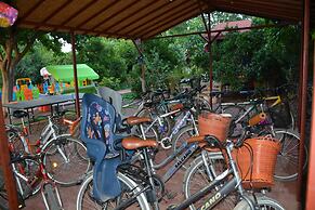 Caretta Caretta Pension