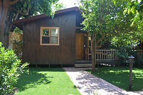 Caretta Caretta Pension