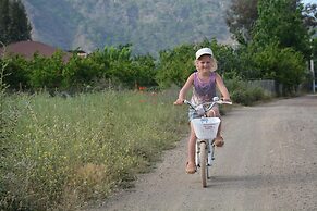 Caretta Caretta Pension