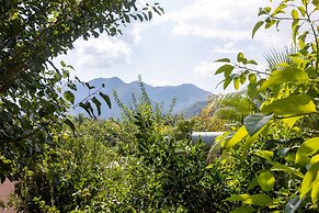 Caretta Caretta Pension
