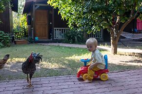 Caretta Caretta Pension