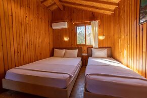 Caretta Caretta Pension