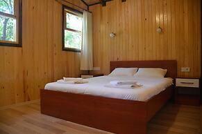 Caretta Caretta Pension