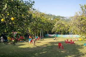 Caretta Caretta Pension