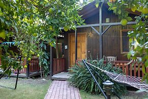 Caretta Caretta Pension