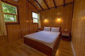 Caretta Caretta Pension