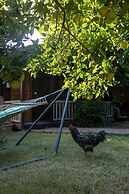 Caretta Caretta Pension