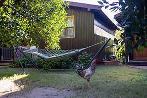 Caretta Caretta Pension