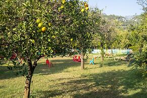 Caretta Caretta Pension