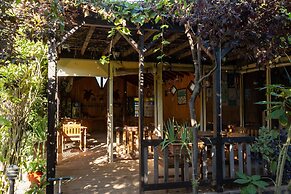 Caretta Caretta Pension