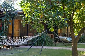 Caretta Caretta Pension