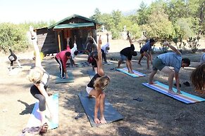 Olympos Woods - Adults Only