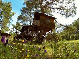 Olympos Woods - Adults Only