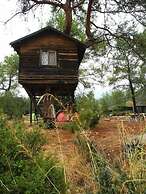 Olympos Woods - Adults Only