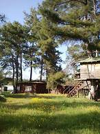 Olympos Woods - Adults Only