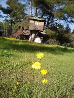 Olympos Woods - Adults Only