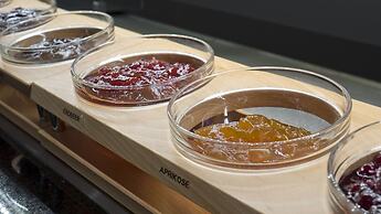 Hotel Thüringenschanze