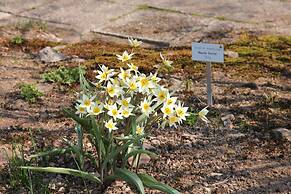 Hotel Thüringenschanze