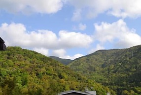 Yojokan Haru no Hikari