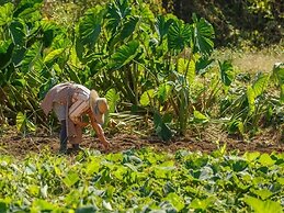Yojokan Haru no Hikari