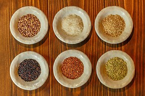 Yojokan Haru no Hikari