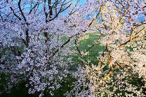 HOTEL DRESSY -Adults Only