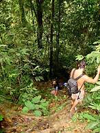 Indra Valley Inn Bukit Lawang