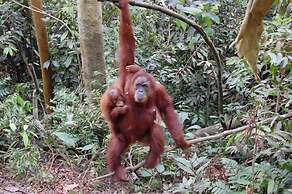 Indra Valley Inn Bukit Lawang