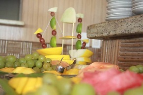 Hotel Vila Jardim