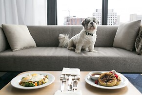 ANDAZ OTTAWA BYWARD MARKET, BY HYATT