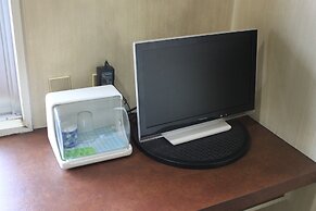 Hot Spring Hotel Boston