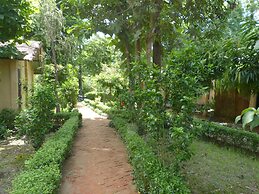 Nature Safari Resort