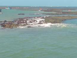 Pousada dos Girassóis