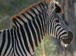 Ngama Tented Safari Lodge