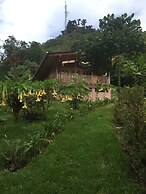 Los Quetzales Ecolodge & Spa