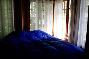 Los Quetzales Ecolodge & Spa