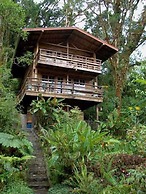 Los Quetzales Ecolodge & Spa
