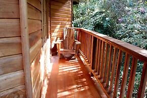 Los Quetzales Ecolodge & Spa