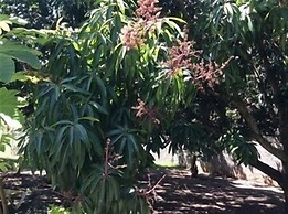 Casa Lilly B&B Cabarete