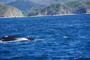 Villas Welcome to Heaven