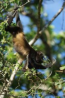 Villas Welcome to Heaven