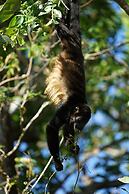 Villas Welcome to Heaven